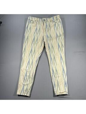Ann Taylor LOFT Curvy Skinny Ankle Pants Striped Aztec Print Casual Size 10 (30)